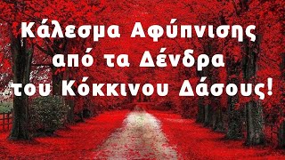 Θα μας φωνάζετε μέσα στη ψυχή σας και θα είναι πολύ αργά! Το πνεύμα μας θα ζει αλλού! Χρ. Κιτσινάμας