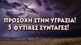 Πονάνε οι αρθρώσεις σας όταν αλλάζει ο καιρός; 5 φυτικές συνταγές!