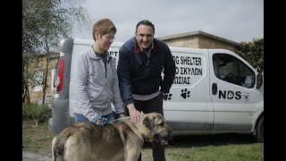 26o ΕΠ.: ΚΑΚΟΠΟΙΗΣΗ ΚΑΙ ΕΓΚΑΤΑΛΕΙΨΗ ΣΚΥΛΩΝ 07/03/2020 Β' ΚΥΚΛΟΣ