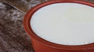 Πως να φτιάξετε το τέλειο Γιαούρτι - How to make the perfect Greek Yogurt Γαστρονομία Ελληνική