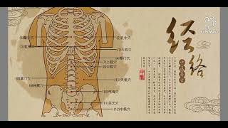 Κινεζική ιατρική - Τα όργανα