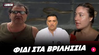 ΦΙΔΙ ΜΕ ΓΑΤΑ αναστατώνουν τα Βριλήσσια - επενέβη η Πολιτική Προστασία | Luben TV