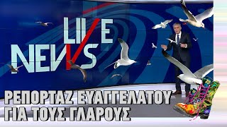 Ράδιο Αρβύλα | Ρεπορτάζ Ευαγγελάτου για τους γλάρους της Καλύμνου | Top Επικαιρότητας (9/2/2023)