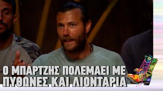 Ράδιο Αρβύλα | Survivor | Ο Μπάρτζης πολεμάει με πύθωνες και λιοντάρια |Top Επικαιρότητας (2/2/2023)