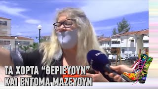 Ράδιο Αρβύλα | Τα χόρτα "θεριεύουν" και έντομα μαζεύουν | Top Επικαιρότητας (30/3/22)