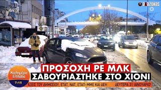 ΕΠΙΚΗ ΣΑΒΟΥΡΑ στα χιόνια έφαγε δημοσιογράφος του Παπαδάκη σε LIVE σύνδεση | ΑΛΑΖΟΝΑS