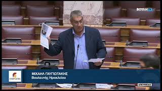 Επίκαιρη Ερώτηση του Βουλευτή Ηρακλείου, Μ. Γαυγιωτάκη, στον  υπουργό Προστασίας του Πολίτη