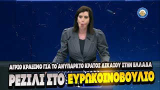 ΡΕΖΙΛΙ ΣΤΟ ΕΥΡΩΚΟΙΝΟΒΟΥΛΙΟ - Στραβομουτσούνιασε η υπερασπίστρια του παιδερ@στή Γεωργιαδη