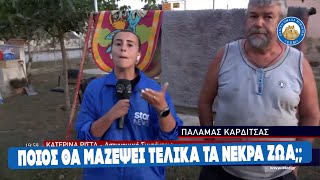 ΝΑ ΚΑΝΕΙ Η ΜΑΝΑ! Αλαλούμ μεταξύ Περιφέρειας, Δήμου και Υπουργείου για τα νεκρά ζώα στον κάμπο