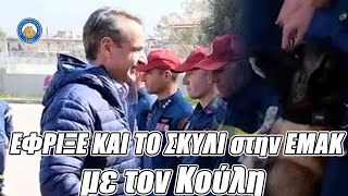 ΕΦΡΙΞΕ ΚΑΙ ΤΟ ΣΚΥΛΙ στην ΕMAK με τον Κούλη.