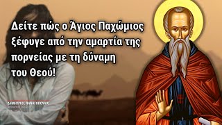 Ο Άγιος Παχώμιος και η πόρνη! (Δημήτριος Παναγόπουλος ♰)