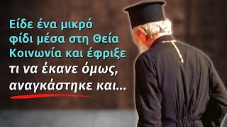 Είδε ένα μικρό φίδι μέσα στη Θεία Κοινωνία και έφριξε, τι να έκανε όμως αναγκάστηκε και…