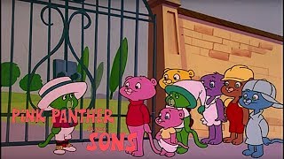 Millionaire Murfel | Pink Panther Cartoons | Pink Panther and Sons