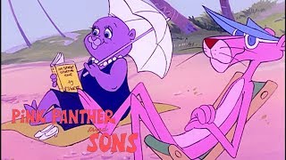 Panky's Pet | Pink Panther Cartoons | Pink Panther and Sons