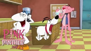 It's Pouring Pink Panther and Dogs! | 50 Minute Dog Compilation