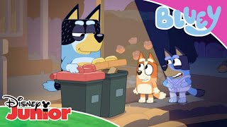 Απολαμβάνοντας τη Νύχτα του Κάδου | Μπλούι | Disney Junior Ελλάδα