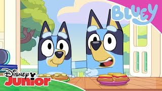 🐕 Μίνι Μπλούι | Μπλούι | Disney Junior Ελλάδα