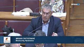 Ο Βουλευτής Ηρακλείου, Μ. Γαυγιωτάκης, στην επιτροπή Κοινωνικών Υποθέσεων Του Υπουργείου Υγείας