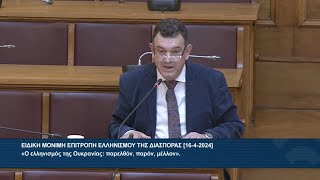 Τοποθέτηση Νίκου Παπαδόπουλου στην Επιτροπή Ελληνισμού της Διασποράς