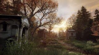 Κάτι παράξενο συμβαίνει στο Red Creek Valley... | The Vanishing of Ethan Carter