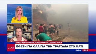 Έφεση για όλα για την τραγωδία στο Μάτι άσκησε η Εισαγγελία Εφετών της Αθήνας | Ειδήσεις |08/05/2024 Ελληνική - SKAI.gr