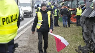 Πολωνία: Ακτιβιστές αγρότες εισέβαλαν στο κοινοβούλιο Ελληνική - euronews
