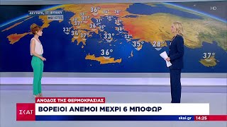 Καιρός: Άνοδος της θερμοκρασίας – Βόρειοι άνεμοι έως 6 Μποφόρ   | Μεσημβρινό Δελτίο | 16/06/2024 Ελληνική - SKAI.gr