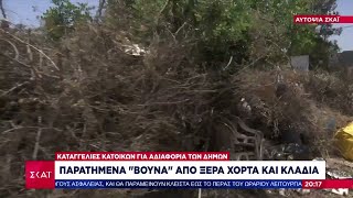 Αυτοψία ΣΚΑΪ στην Αν. Αττική: Παρατημένα «βουνά» από ξερά χόρτα και κλαδιά – Σφοδρά παράπονα Ελληνική - SKAI.gr