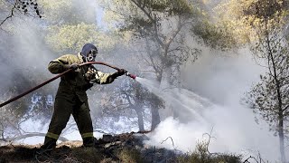 Ελλάδα - Φωτιές: Δύσκολη η κατάσταση σε Κω και Χίο Ελληνική - euronews