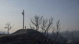 Ελλάδα - Κως: Μετά τη μεγάλη πυρκαγιά, η Καρδάμαινα προσπαθεί να μαζέψει τα κομμάτια της Ελληνική - euronews