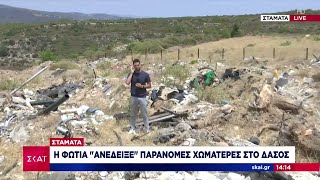 Σταμάτα: Η φωτιά «ανέδειξε» παράνομες χωματερές στο δάσος  | Ειδήσεις Μεσημβρινό Δελτίο | 02/07/2024 Ελληνική - SKAI.gr