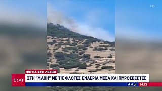 Φωτιά στη Λέσβο: Στη "μάχη" με τις φλόγες εναέρια μέσα και πυροσβέστες | Μεσημβρινό δελτίο Ελληνική - SKAI.gr