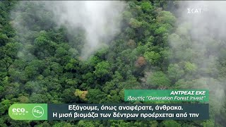 ECO NEWS BY ΔΕΗ | Generation Forest Invest: Τα δάση που καλλιεργούνται  για τη σωτηρία του πλανήτη Ελληνική - SKAI.gr