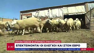 66932da65eb21 Ελληνική Συναγερμός μετά τα κρούσματα πανώλης σε κοπάδι με αιγοπρόβατα στην Καλαμπάκα | Ειδήσεις | 13/07/2024 Ελληνική - SKAI.gr https://eliniki.gr/video/%cf%87%ce%b1%ce%bb%ce%ba%ce%af%ce%b4%ce%b1-%ce%b1%cf%80%ce%bf%ce%ba%ce%bb%ce%b5%ce%b9%cf%83%cf%84%ce%b9%ce%ba%ce%ac-%ce%b7-%ce%b1%cf%80%ce%bf%ce%bb%ce%bf%ce%b3%ce%af%ce%b1-%cf%84%ce%bf%cf%85-%ce%b4/