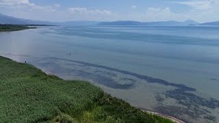 Μεγάλη Πρέσπα: SOS από ΜΚΟ Ελλάδας, Αλβανίας και Βόρειας Μακεδονίας Ελληνική - euronews