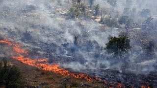 Βόρεια Μακεδονία: Μαίνεται η πυρκαγιά στο όρος Σέρτα, δεκάδες ακόμα εστίες ενεργές Ελληνική - euronews