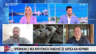 Βρέθηκαν δύο κρούσματα πανώλης σε Λάρισα και Κόρινθο | Πρωινή Ενημέρωση | 28/07/2024 Ελληνική - SKAI.gr