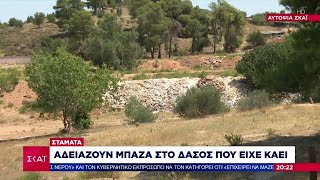 Αυτοψία ΣΚΑΪ - Σταμάτα: Αδειάζουν μπάζα στο δάσος που είχε καεί | Βραδινό δελτίο | 04/08/2024 Ελληνική - SKAI.gr