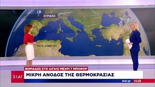 Μικρή άνοδος της θερμοκρασίας – Βοριάδες στο Αιγαίο έως 7 Μποφόρ   | Μεσημβρινό Δελτίο | 11/08/2024 Ελληνική - SKAI.gr