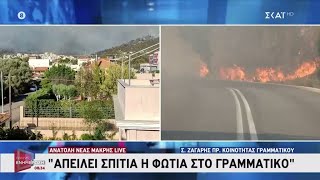 Ε. Ζαγάρης- Πρ. Κοινότ. Γραμματικού: «Θα κινδυνεύσουν σπίτια - Στα 500 μέτρα η φωτιά» Ελληνική - SKAI.gr