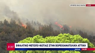 Εφιαλτικό μέτωπο της φωτιάς στη Νέα Μάκρη | Μεσημβρινό δελτίο | 12/08/2024 Ελληνική - SKAI.gr