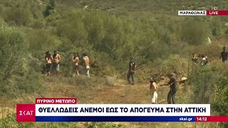 66ba0e65d68ef Ελληνική Νέο μήνυμα 112 για Νέα και Παλαιά Πεντέλη | Μεσημβρινό δελτίο | 12/08/2024 Ελληνική - SKAI.gr https://eliniki.gr/video/%ce%b5%ce%b3%ce%ba%ce%bf%ce%bb%cf%86%cf%8c%cf%80%ce%bf%cf%85%ce%bb%ce%bf%cf%82-%ce%b5%ce%af%ce%bc%ce%b1%cf%83%cf%84%ce%b5-%ce%ad%cf%84%ce%bf%ce%b9%ce%bc%ce%bf%ce%b9-%ce%b1%ce%bd-%ce%bf%ce%b9-%cf%84/