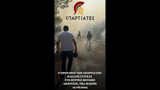 Ο ΠΡΟΕΔΡΟΣ ΤΩΝ ΣΠΑΡΤΙΑΤΩΝ ΒΑΣΙΛΗΣ ΣΤΙΓΚΑΣ ΣΤΟ ΠΥΡΙΝΟ ΜΕΤΩΠΟ - ΔΙΟΝΥΣΟΣ, ΝΕΑ ΜΑΚΡΗ - 12/08/2024