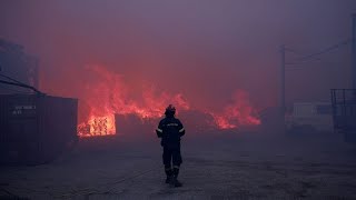 Γιατί οι δασικές πυρκαγιές λαμβάνουν τόσο γρήγορα τόσο μεγάλες διαστάσεις Ελληνική - euronews