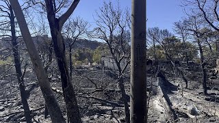 Πυρκαγιά στην Αττική: Kάτοικοι περιγράφουν στο euronews τις δραματικές στιγμές που έζησαν… Ελληνική - euronews