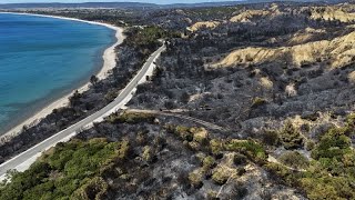 Τουρκία: Σε κατάσταση συναγερμού λόγω δασικών πυρκαγιών Ελληνική - euronews