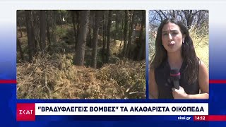 Βαρυμπόμπη: Βραδυφλεγείς βόμβες τα ακαθάριστα οικόπεδα  | Ειδήσεις Μεσημβρινό Δελτίο | 19/08/2024 Ελληνική - SKAI.gr