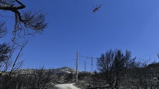 Πυρκαγιές στην Αττική: Σχέδιο 10 σημείων για την αποκατάσταση Ελληνική - euronews