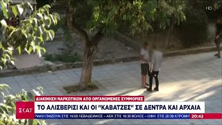 66d4b3de67d44 Ελληνική Video ντοκουμέντο: Διακίνηση ναρκωτικών από οργανωμένες συμμορίες μέρα μεσημέρι | Βραδινό δελτίο Ελληνική - SKAI.gr https://eliniki.gr/video/%ce%b1%cf%80%ce%bf%cf%84%cf%81%cf%8c%cf%80%ce%b1%ce%b9%ce%b1-%ce%b4%ce%bf%ce%bb%ce%bf%cf%86%ce%bf%ce%bd%ce%af%ce%b1-%ce%ad%cf%81%ce%b5%cf%85%ce%bd%ce%b1-%cf%84%cf%89%ce%bd-%ce%b5%cf%83%cf%89%cf%84/