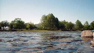 66d74fdddd2c2 Ελληνική Η έλλειψη νερού στην Ευρώπη Ελληνική - euronews https://eliniki.gr/video/%ce%ba%ce%b1%ce%b9%cf%81%cf%8c%cf%82-weekenders-27-10-2024/